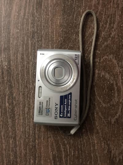 Sony Cyber-shot DSC-W510 Digital Camera
