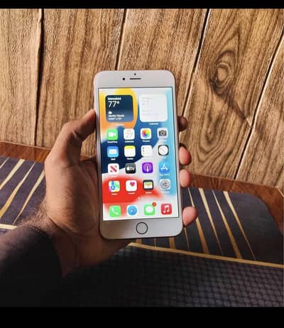 iPhone 6s PTA Approved 64GB Jo Colour Chahye Mill Jaega ‎ ‎