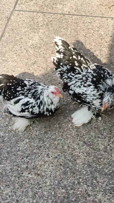 03280058008 contact kre