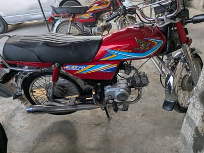 Chakwal number lush condition CD70