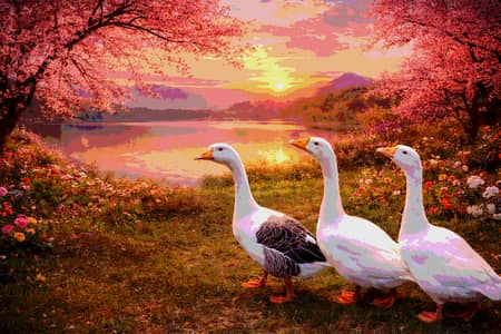 1 Male and 1 female beautiful pair big duck large neck Laying egg dail