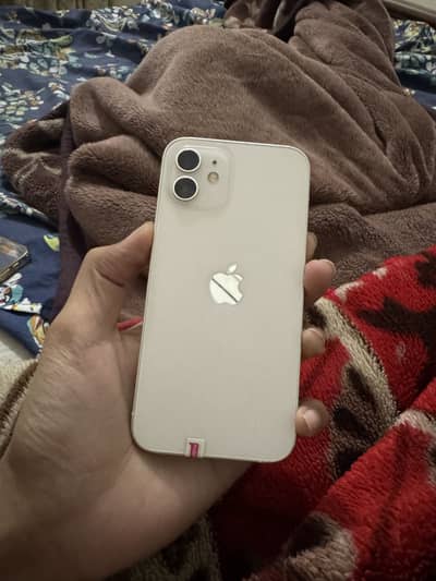 Iphone 12 128gb pta approved