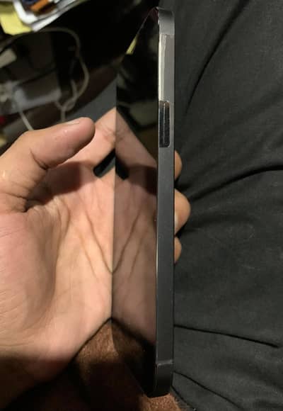 12 pro max dual physical pta approved