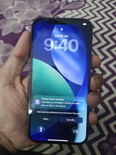 12 pro max pta approved