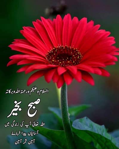 gas heater's dual work