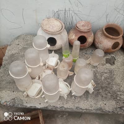 Birds Parrot Accessories