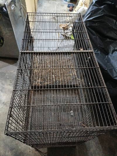 hen cage for sale pure iron