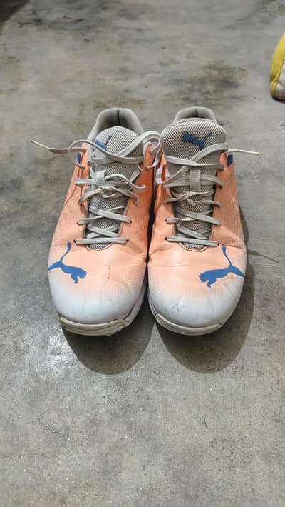 8 number spikes hain bilkul ok hain all good kahi sa khrab ni hain