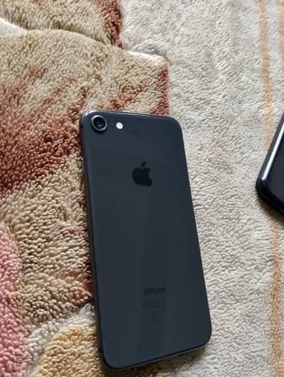 Iphone 8 pta approved