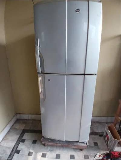 Pel Large size fridge