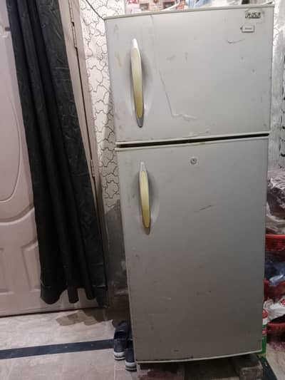 Hair Medium Fridge