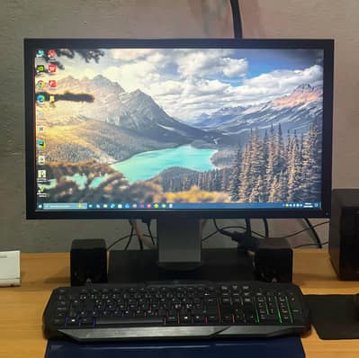 24" inches LCD (Dell) . . . . BEST FOR GAMING.