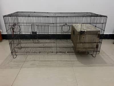 cage for parrots