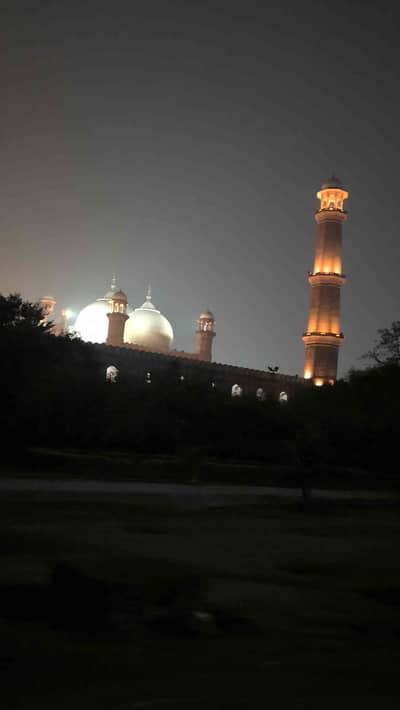 Tabish
