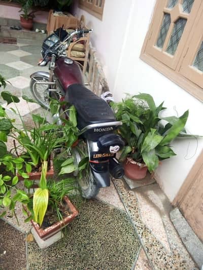 Honda 125 2016Model Punjab no