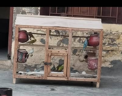 Wood cage For perrot