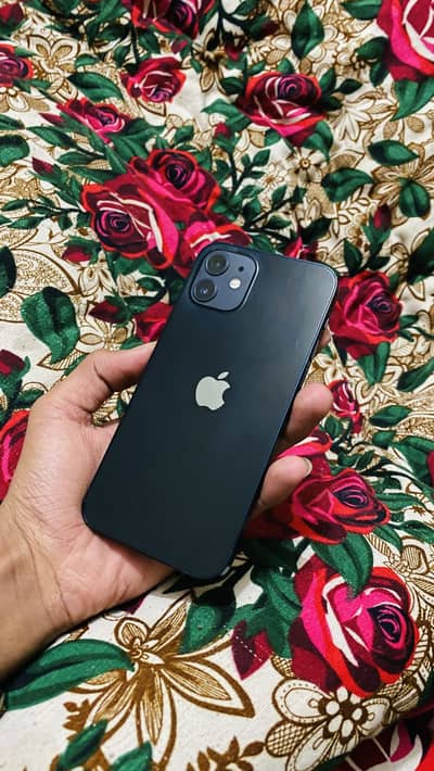 Iphon 12 …. (10 by 10)