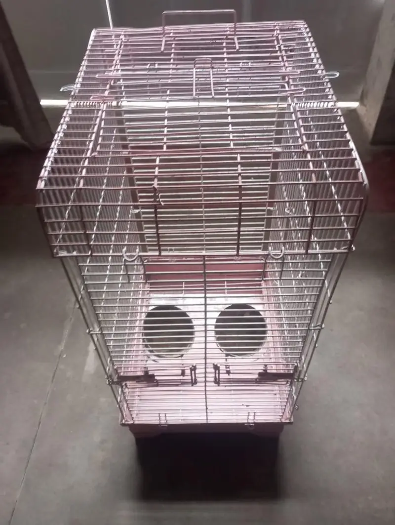 bird cage — photo 2