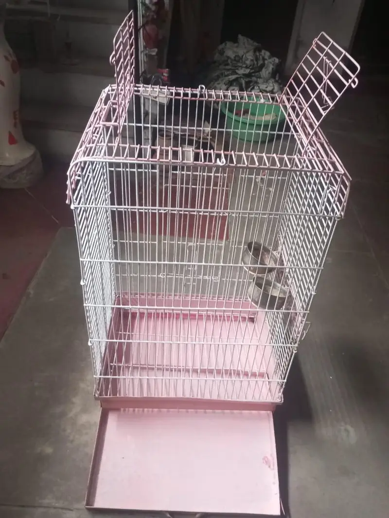 bird cage — photo 3