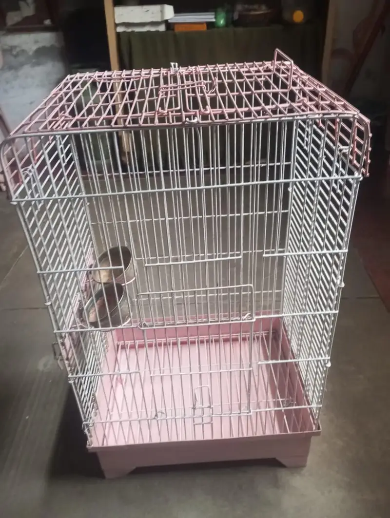 bird cage — photo 4