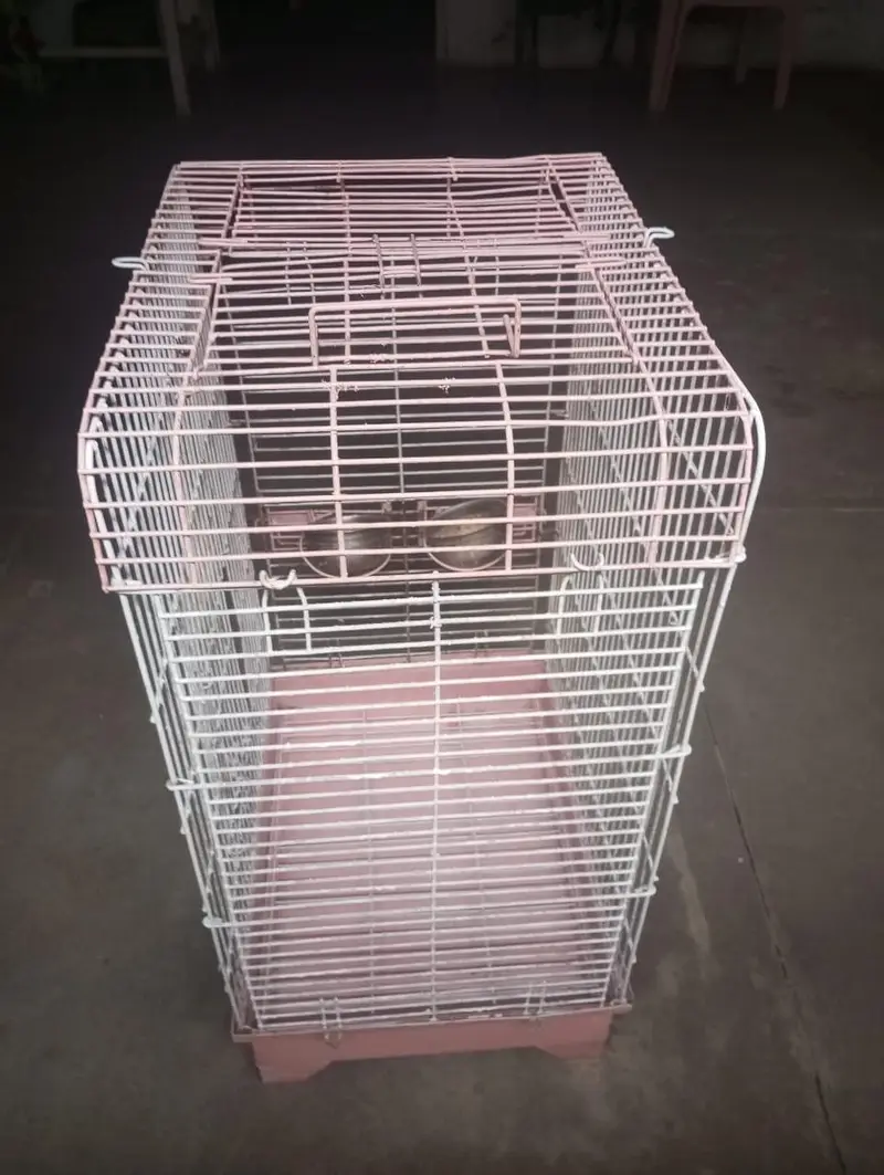bird cage — photo 5