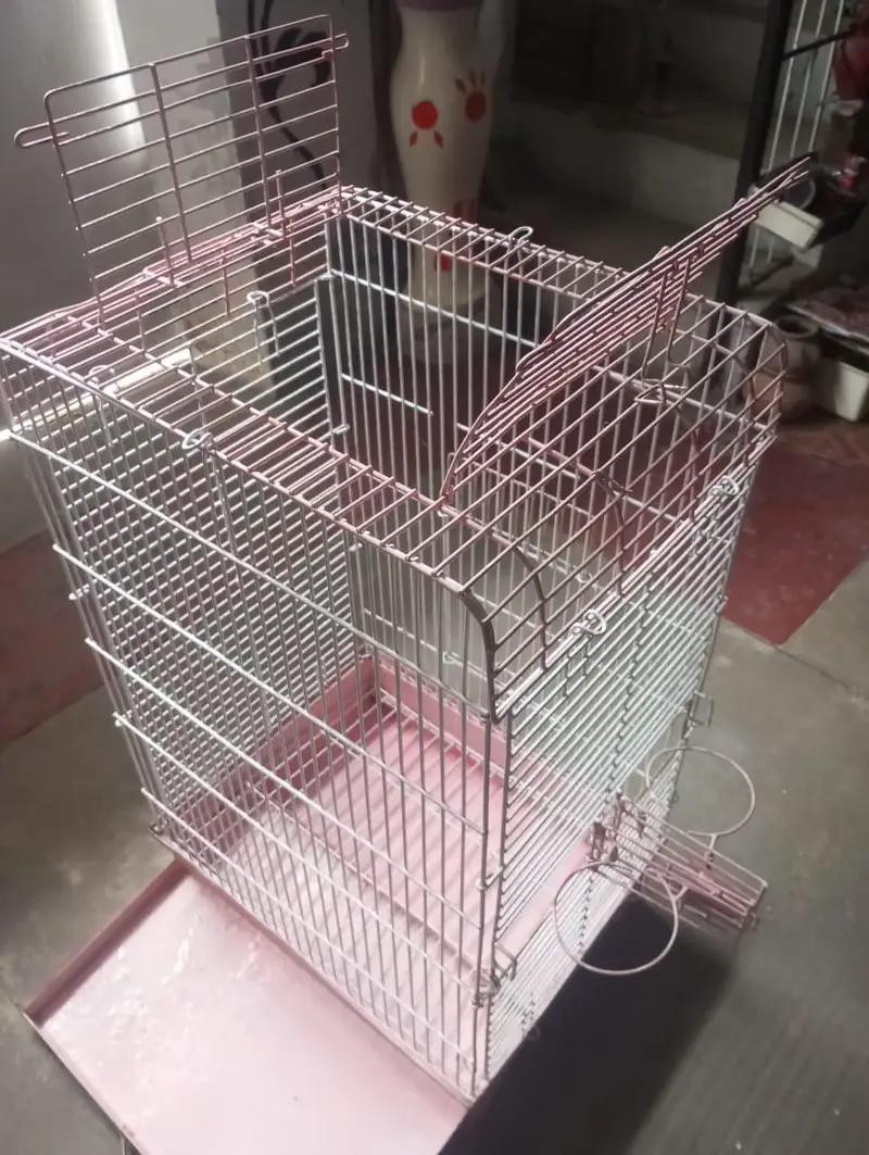 bird cage — photo 6
