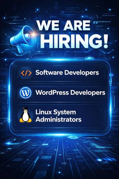 software developer and Seo