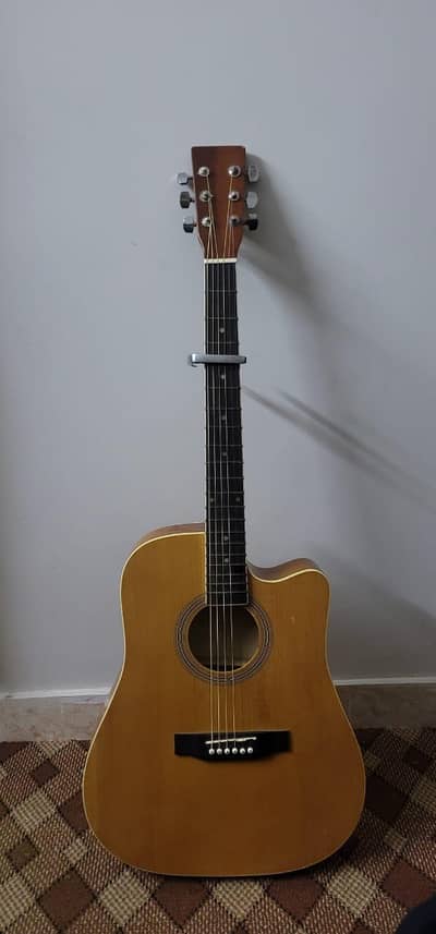 acoustic guitar