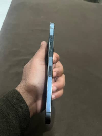 iphone 12promax dual pta