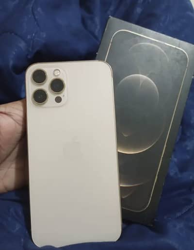 Iphone 12 pro max pta approved dual box