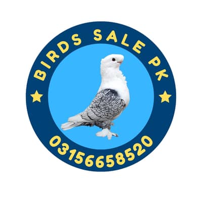 Bird's Sell Pk