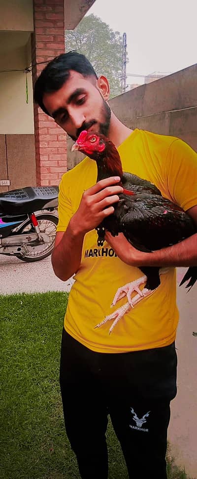 ak ank SA nazar Ni ata