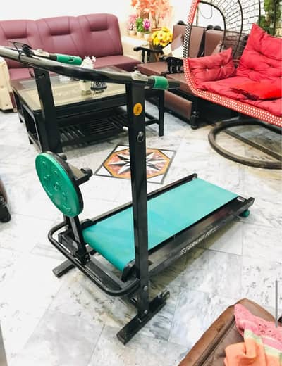 Manual Treadmill + Twister machine