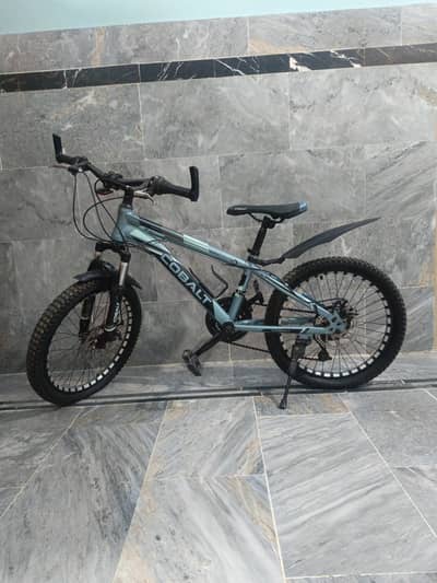 Cobalt Dual Gear Sport Bicycle