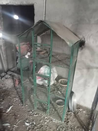 new moti jali Ka pinjra 3 kahanao wala