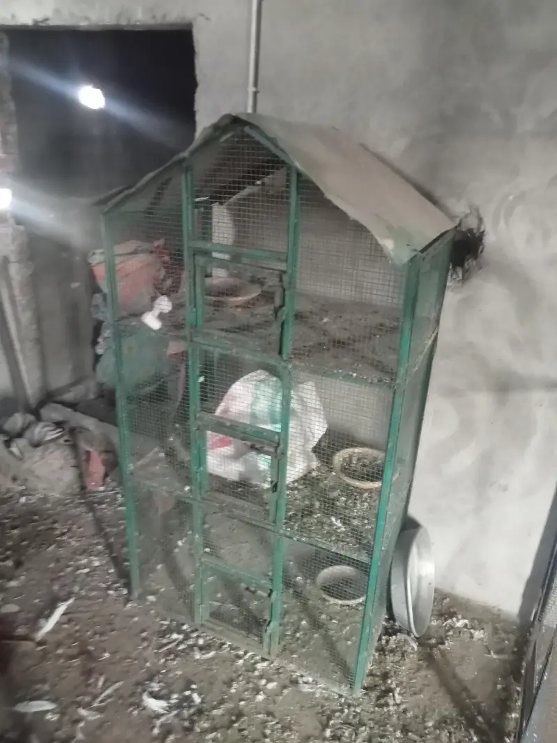 new moti jali Ka pinjra 3 kahanao wala