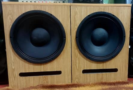 15' inch speaker