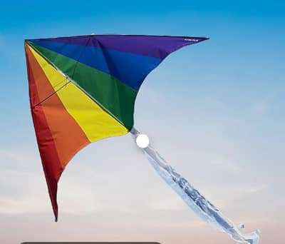 Enjoy Basant in Mozang