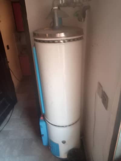 geyser for sale
