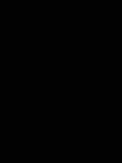 State life insurance File