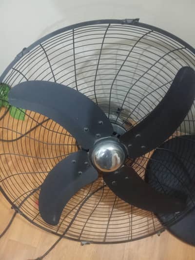 Royal fan brand new condition
