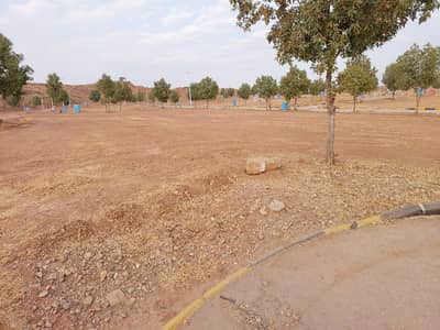 Iris 5 Marla 11 Paid For Sale