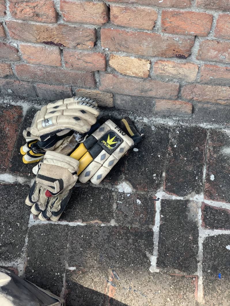 Cricket kit 11