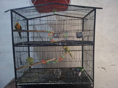 cage for parrot iron wire