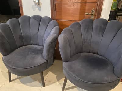 Two seater / coffee chairs centre table
