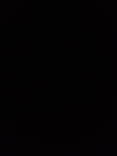 Heera aseel fertile eggs