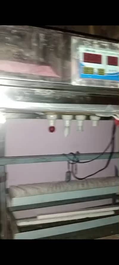 Egg incubator