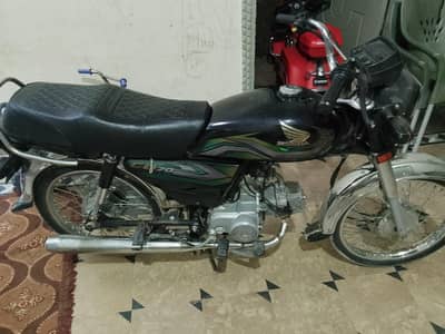 new candisn home usd