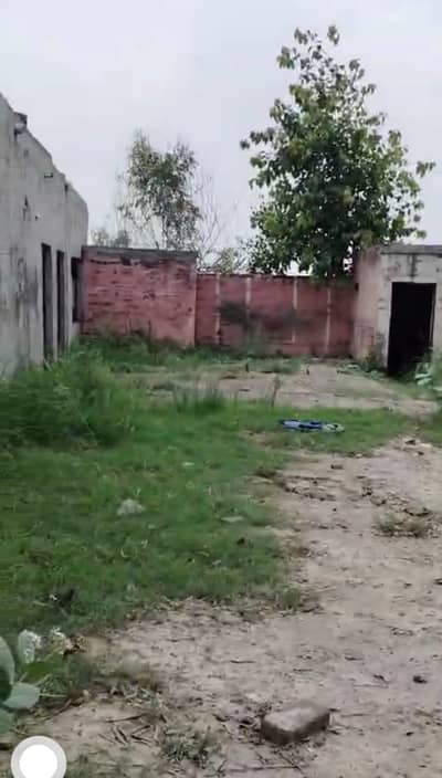 10 Kanal Corner Land Mian Jati Umra Road Facing Kanal Far Sale Best Option Farm House Etc Hot Location