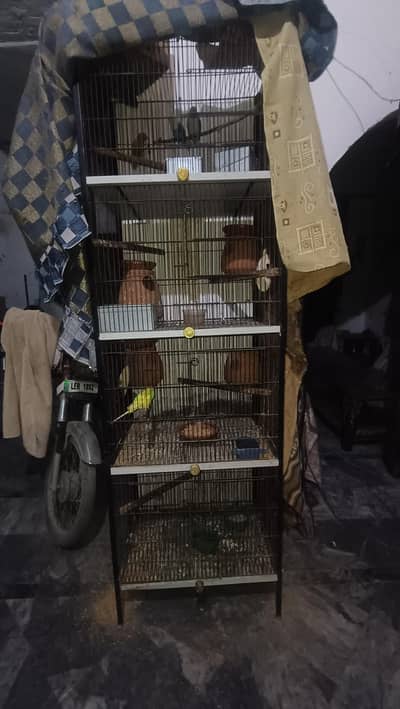 Cages For Sale